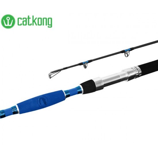 Удилища для ловли сома Delphin Catkong HAZARD 500g